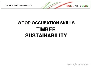 WOOD OCCUPATION SKILLS TIMBER SUSTAINABILITY