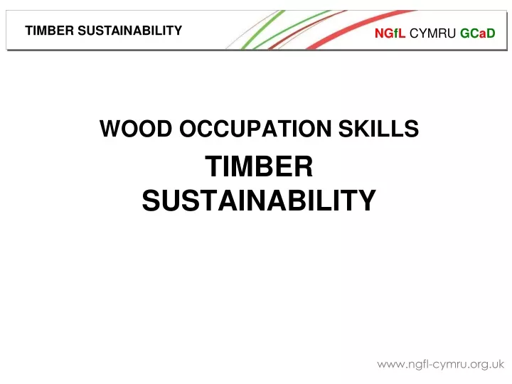 wood occupation skills timber sustainability