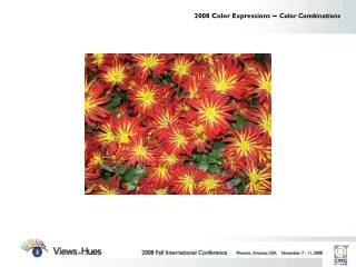 2008 Color Expressions  –  Color Combinations