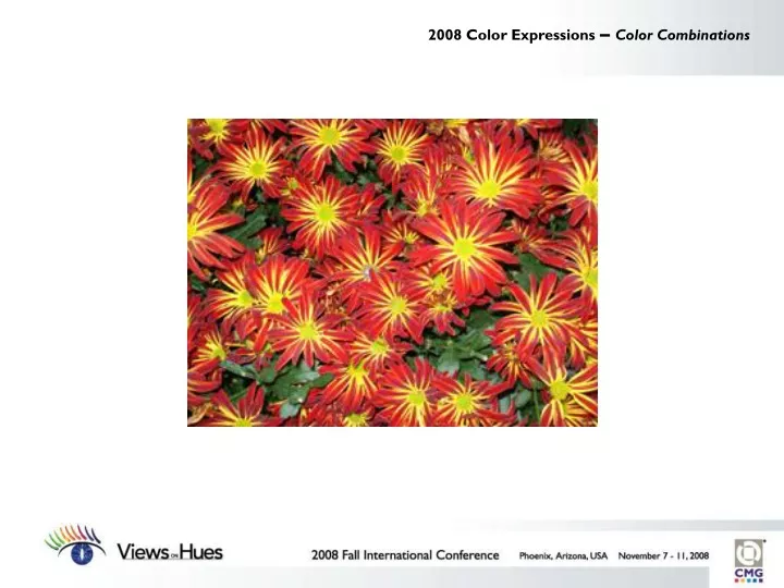 2008 color expressions color combinations
