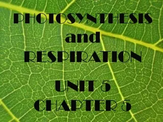 PHOTOSYNTHESIS and RESPIRATION UNIT 5 CHAPTER 5