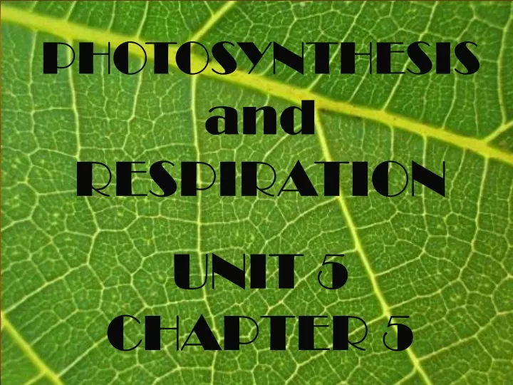 photosynthesis and respiration unit 5 chapter 5
