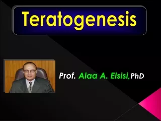 Prof.  Alaa A. Elsisi, PhD