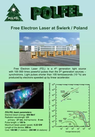 Free Electron Laser at ?wierk / Poland