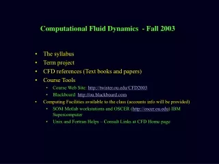 Computational Fluid Dynamics  - Fall 2003
