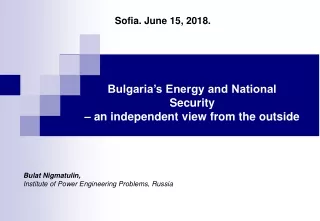 Bulat Nigmatulin, Institute of Power Engineering Problems, Russia