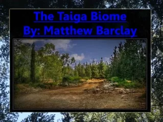 The Taiga Biome By: Matthew Barclay