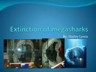Extinction of  megasharks