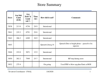 Store Summary