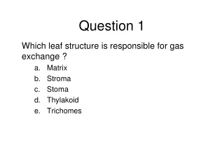 Question 1