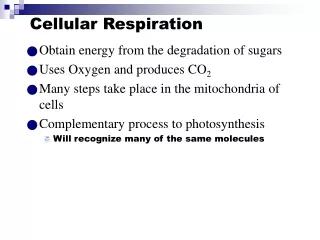 Cellular Respiration