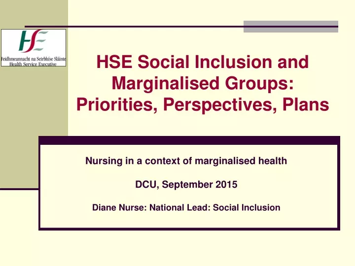hse social inclusion and marginalised groups priorities perspectives plans