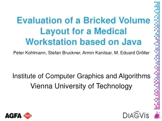 Evaluation of a Bricked Volume Layout for a Medical Workstation based on Java