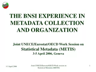 THE BNSI EXPERIENCE IN METADATA COLLECTION AND ORGANIZATION