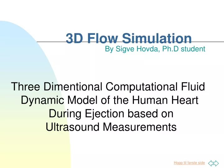 3d flow simulation