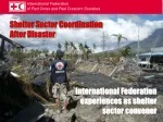 Shelter Sector Coordination After Disaster
