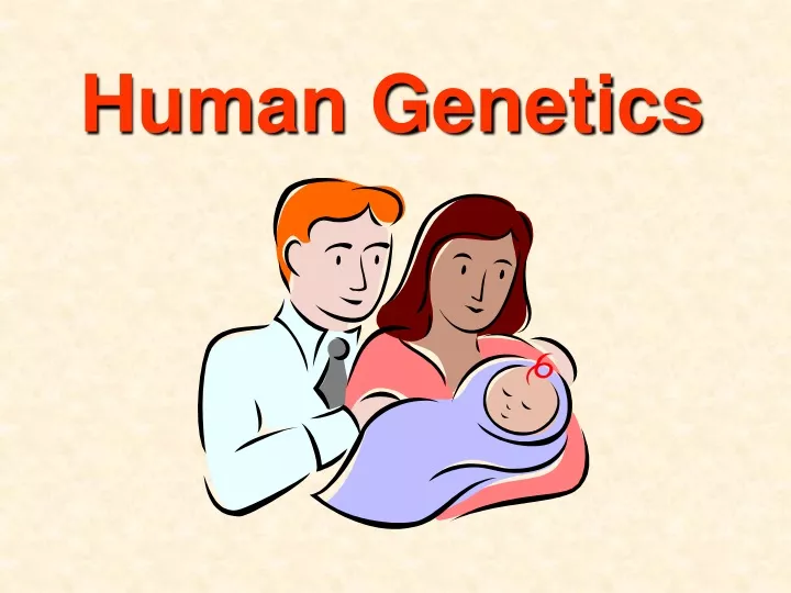 human genetics