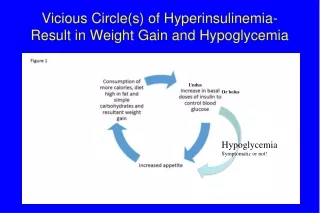 Vicious Circle(s) of Hyperinsulinemia- Result in Weight Gain and Hypoglycemia