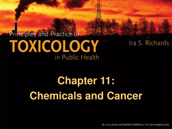 chapter 11 chemicals and cancer