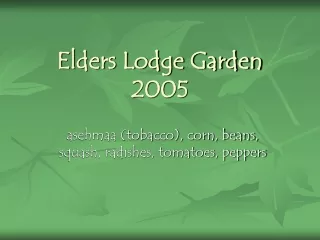 Elders Lodge Garden 2005