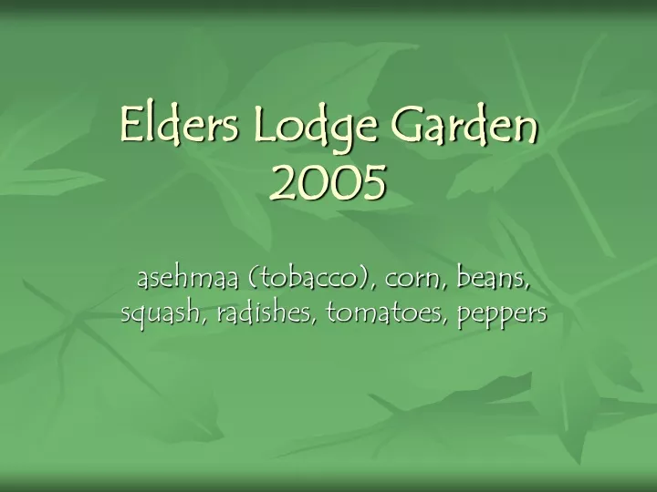 elders lodge garden 2005