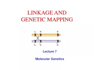LINKAGE AND GENETIC MAPPING
