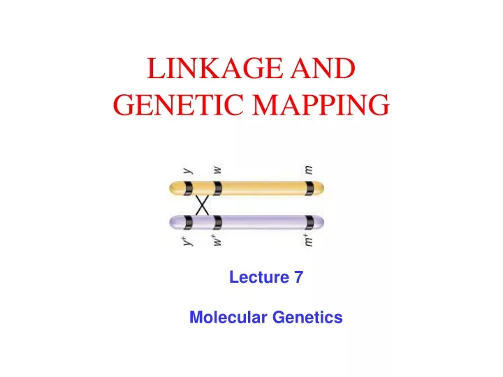 PPT - LINKAGE AND GENETIC MAPPING PowerPoint Presentation, free ...