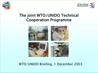 The joint WTO/UNIDO Technical Cooperation Programme