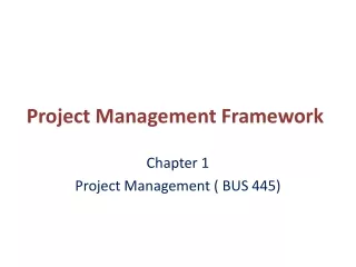 Project Management Framework