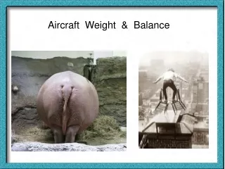 Aircraft  Weight  &amp;  Balance