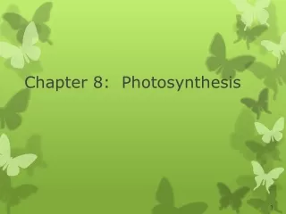 Chapter 8:  Photosynthesis