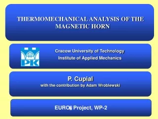 THERMOMECHANICAL ANALYSIS OF THE MAGNETIC HORN