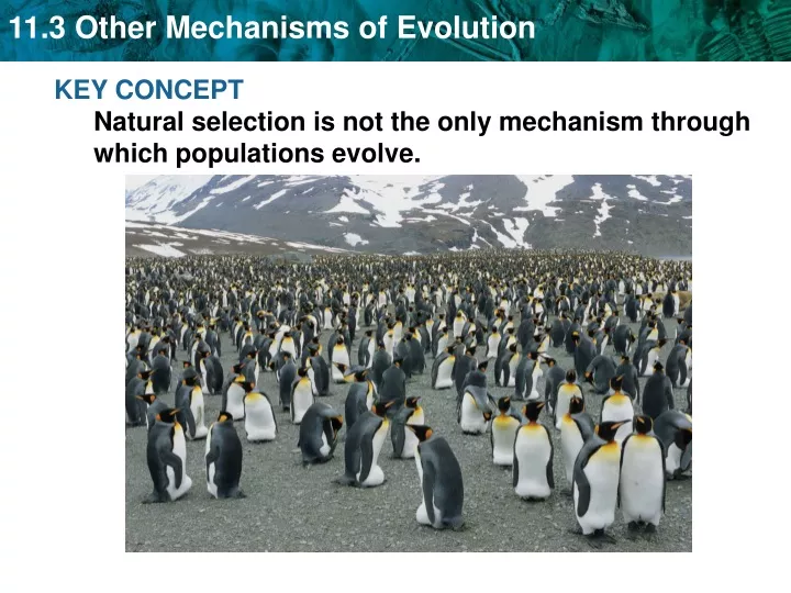 key concept natural selection is not the only