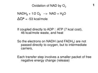 Oxidation of NAD by O 2