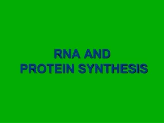 RNA AND  PROTEIN SYNTHESIS