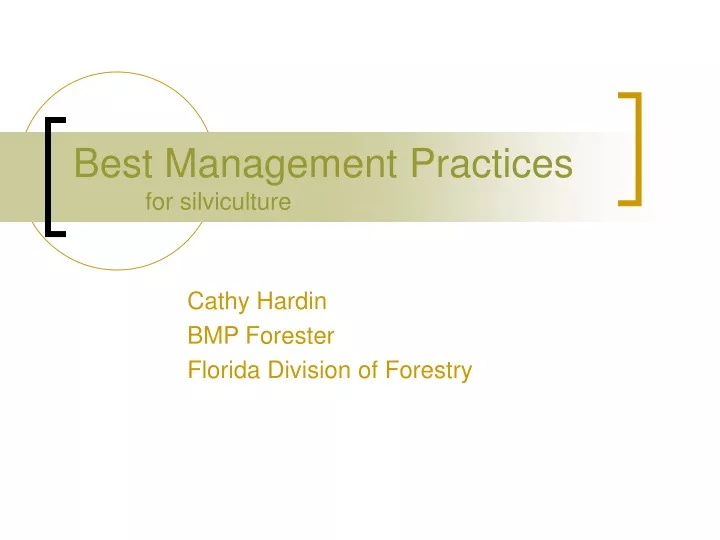 best management practices for silviculture