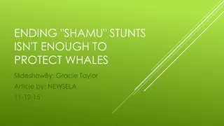 Ending &quot; shamu &quot; stunts isn't enough to protect whales