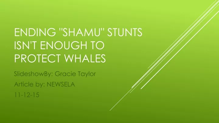 ending shamu stunts isn t enough to protect whales
