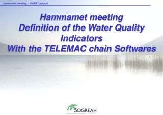 Hammamet meeting Definition of the Water Quality Indicators With the TELEMAC chain Softwares