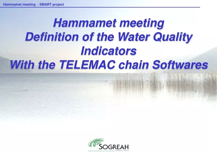 hammamet meeting definition of the water quality