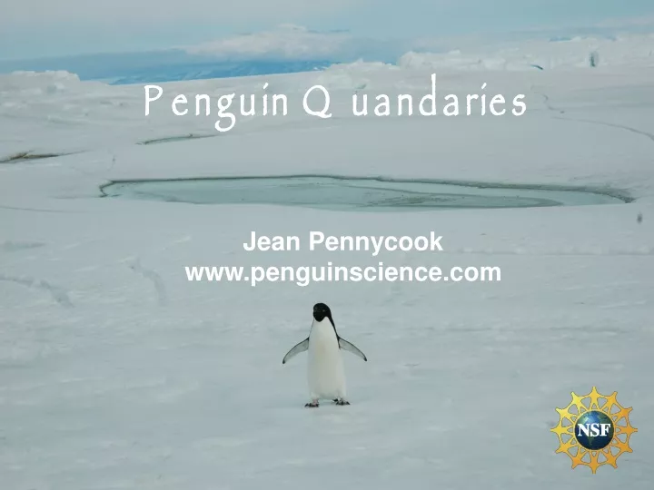 penguin quandaries