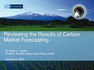 Reviewing the Results of Carbon Market Forecasting