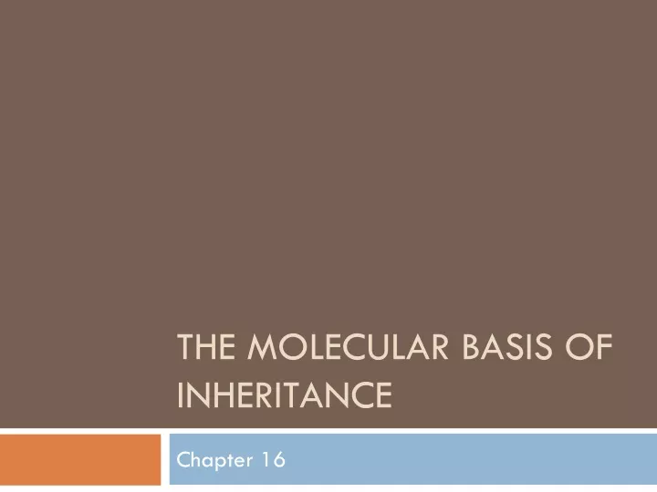 the molecular basis of inheritance