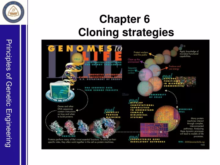 chapter 6 cloning strategies
