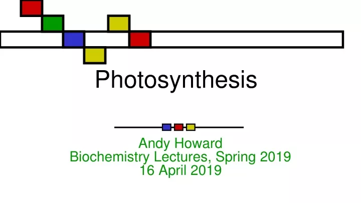 photosynthesis