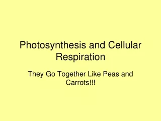 Photosynthesis and Cellular Respiration