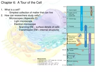 Chapter 6:  A Tour of the Cell