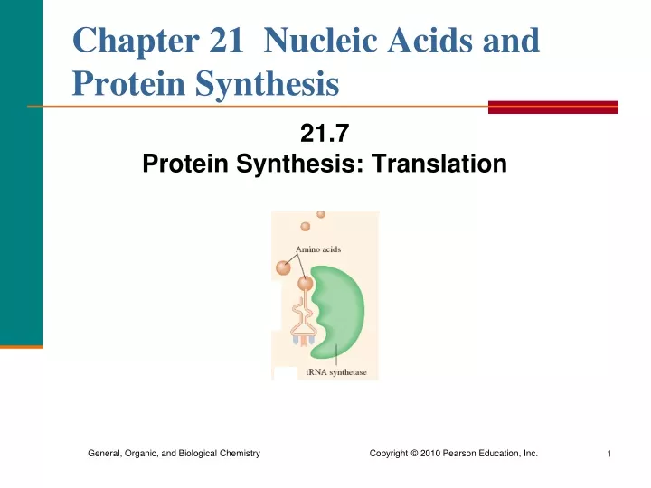 chapter 21 nucleic acids and protein synthesis