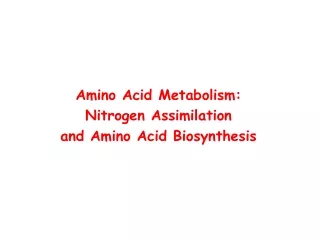Amino Acid Metabolism: Nitrogen Assimilation and Amino Acid Biosynthesis