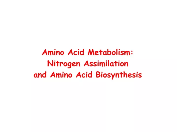 amino acid metabolism nitrogen assimilation and amino acid biosynthesis